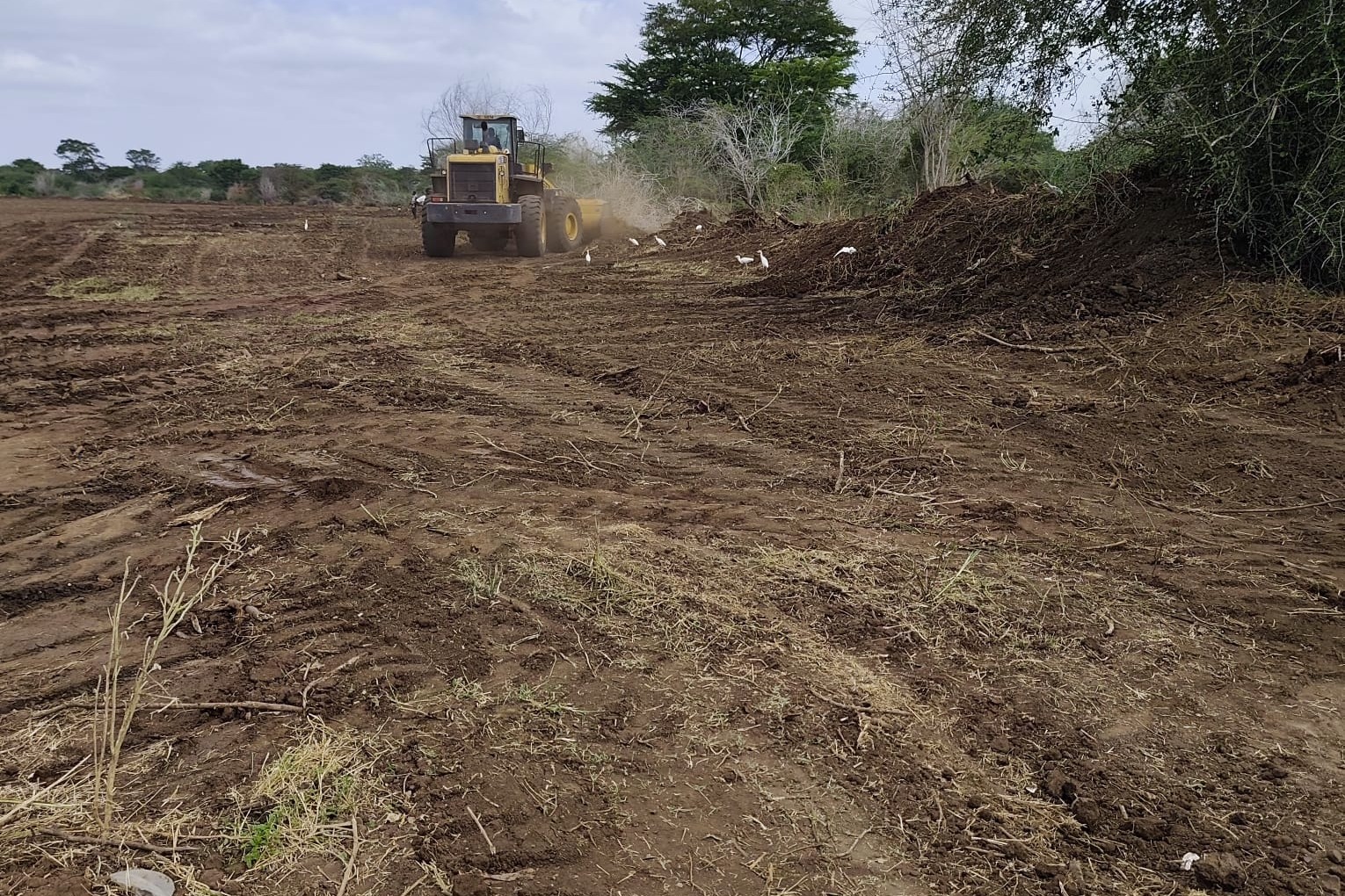 LAZIMA MINOR IRRIGATION PROJECT